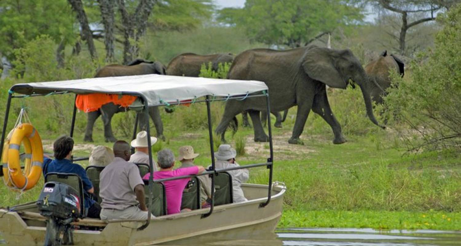 Selous Game Reserve Tanzania's Vast Southern Wilderness