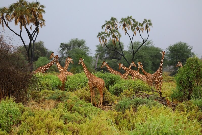 Arusha National Park Tour