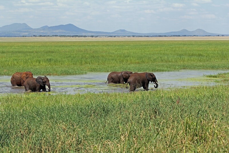 Serengeti National Park Travel