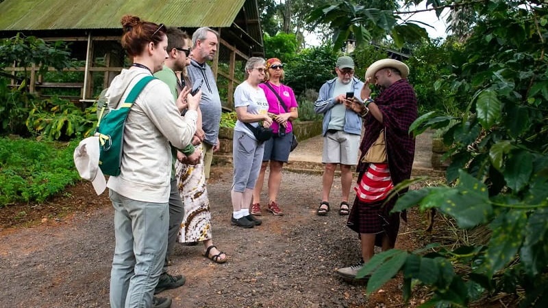 Wildlife & Culture in Tanzania