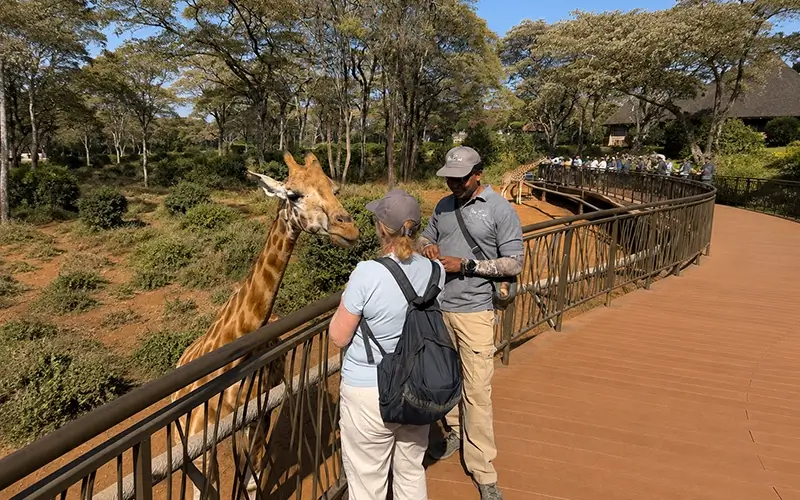 giraffe-feeding-experience-african-wildlife-tour-Tanzania