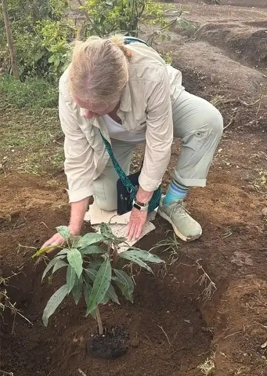 Guest planting an indigenous tree sapling during a Tanzania eco-tourism project