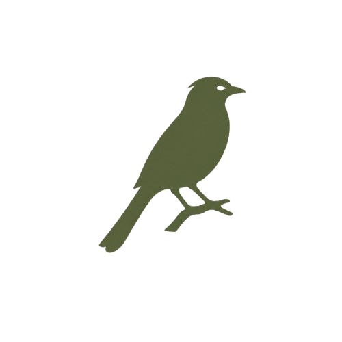 mkomazi-national-park-birdwatching-icon