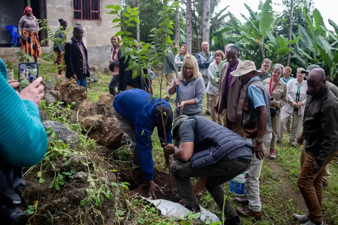 Volunteers planting a tree sapling as part of a Tanzania conservation project