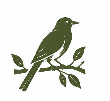 Birdwatching in Udzungwa Mountains National Park