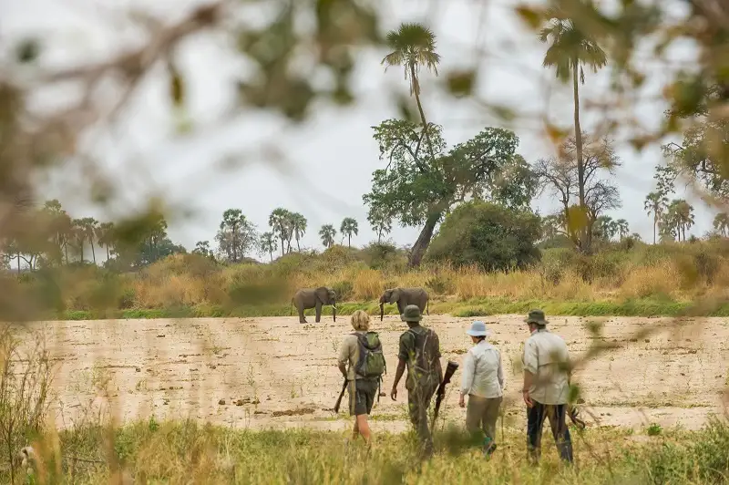 Feature Africa Travel Guide Tanzania Ruaha