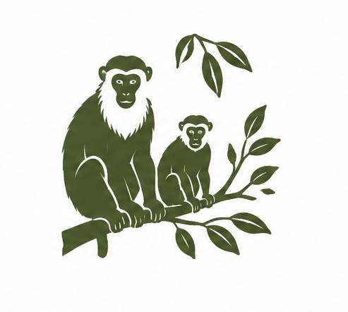 Rare Primate Watching in Udzungwa Mountains National Park