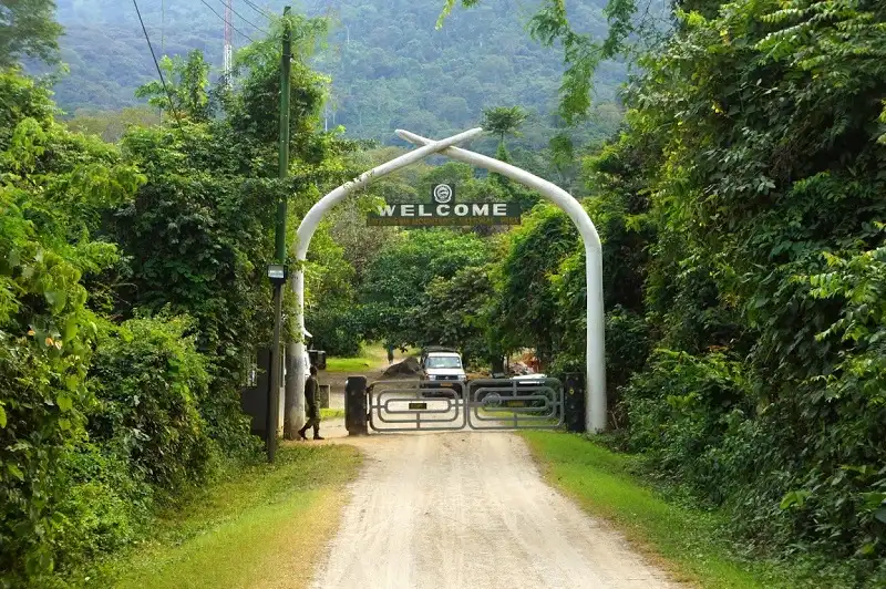 Udzungwa Mountains National Park Tanzania's African Galapagos