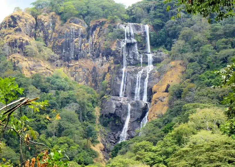 Why Visit Udzungwa Mountains National Park?