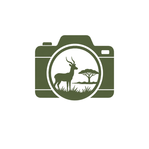 Wildlife Photography​