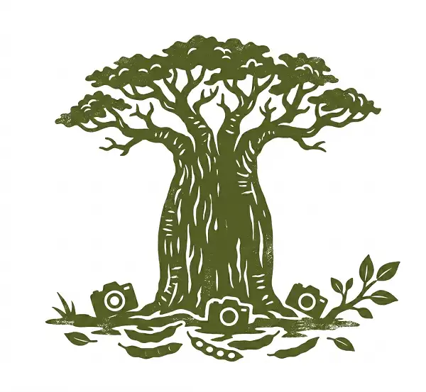 Baobab Photography in Tarangire National Park