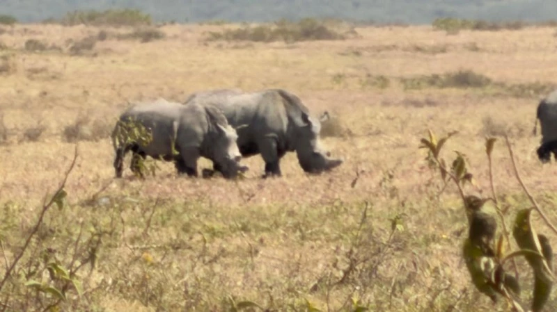 Magic of East Africa with Nature Expert Adventures