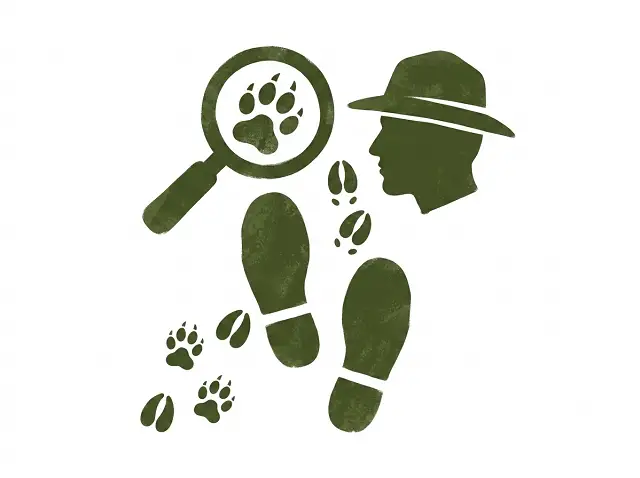 Walking Safaris in Selous Game Reserve